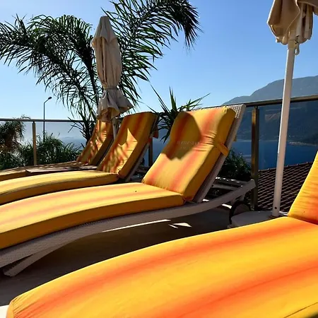 Turtle Bay Villa